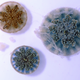 An overhead view of three upside-down jellyfish, including tufts of their murky, stinging mucus.